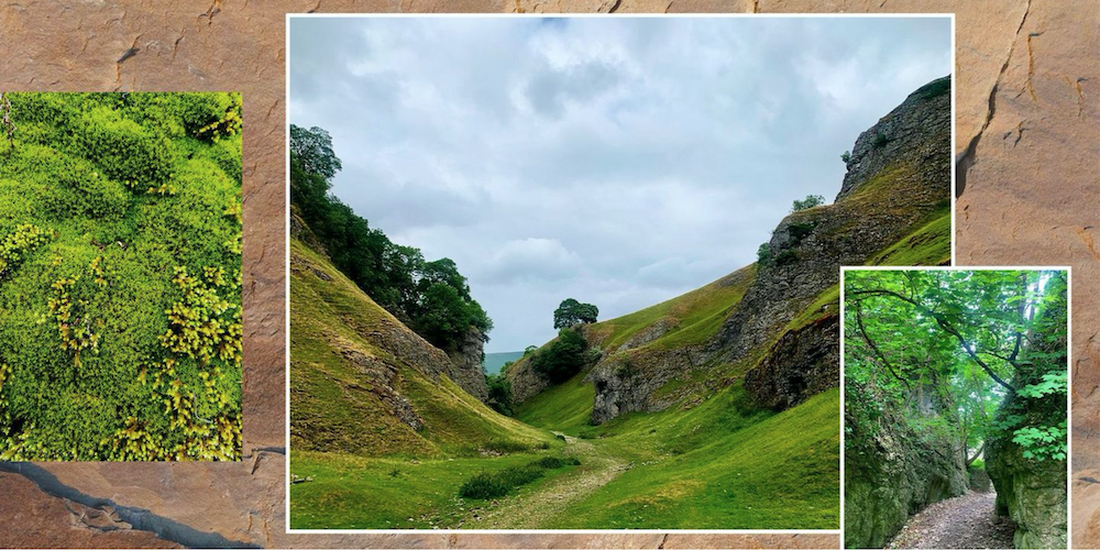 New Peak District Walk To Try This Summer