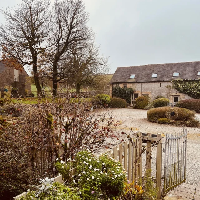 Cosy Friday nights in cool country cottages. We may not have sunshine but we do have underfloor heating and wine!#wheeldontrees #countrycottages #peakdistrict #derbyshire #countrymusic #countrymusiclover